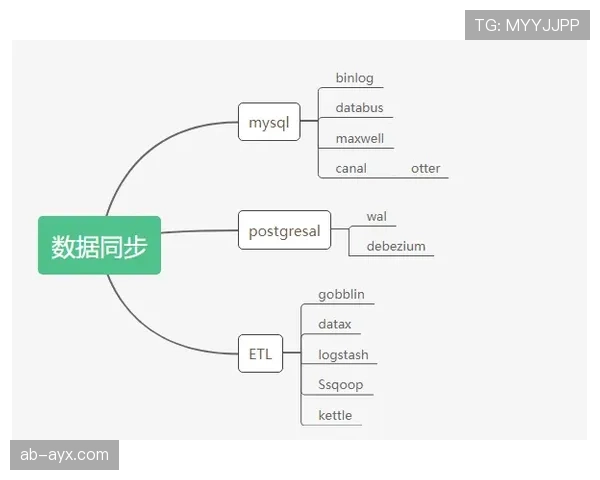 祖布门迪:青训至一线队核心的成长路径解析 祖布门迪:青训至一线队核心的成长路径解析